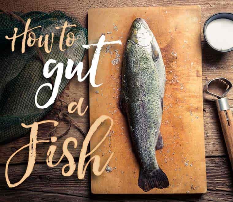 how to gut a fish