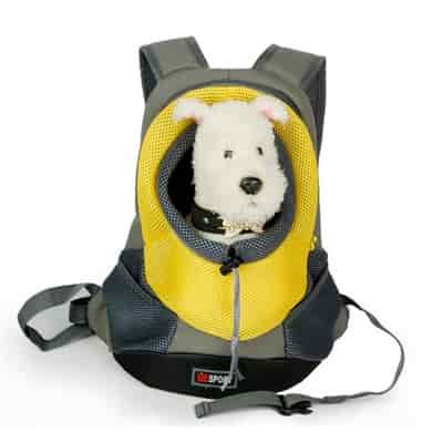 Backpack to carry dogs in