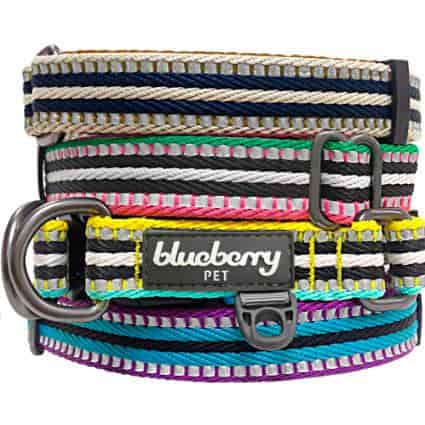 Dog Collar