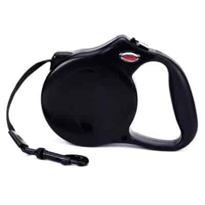 Extendable dog leash