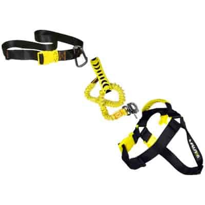 Running harness for dogs