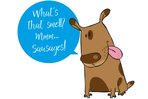 Dog smelling sausages