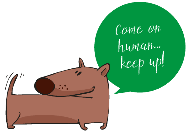 Impatient dog