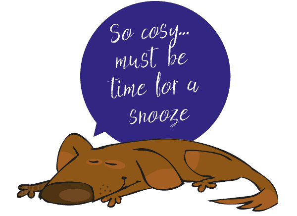 Cosy sleeping dog