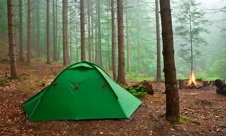 Camping in the forest