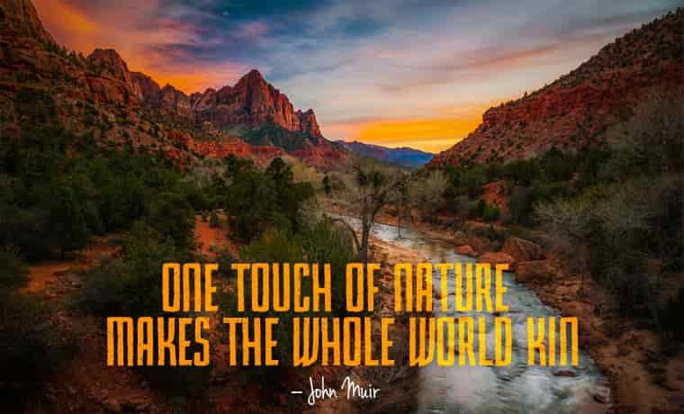 One touch of nature makes the whole world kin – john Muir