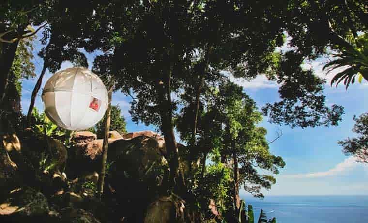 Cocoon Tree Tent