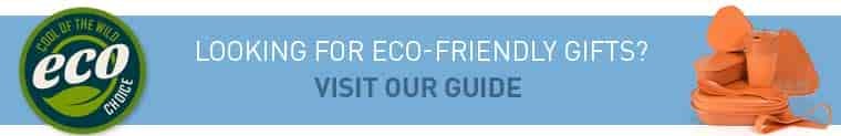 Eco friendly camping gifts guide