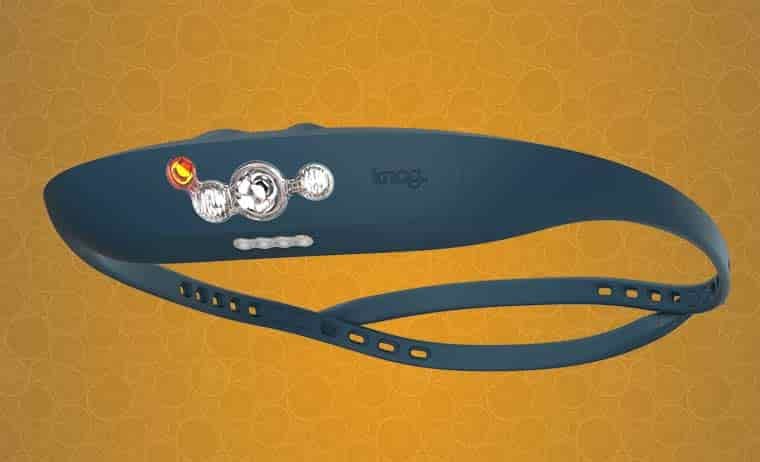 Knog Bandicoot