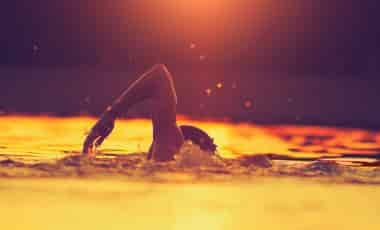 Wild swimmer