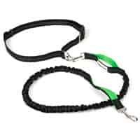 Running dog leash