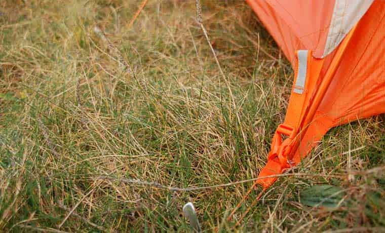 Tent peg out