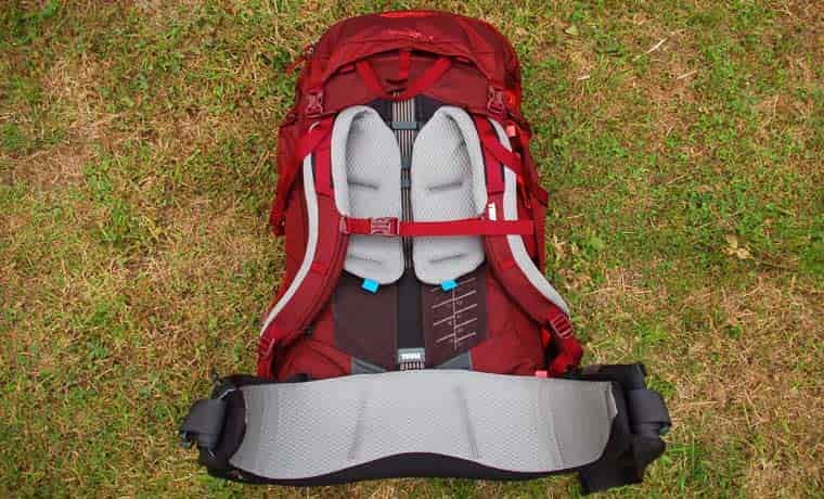 Back panel and hip belt of backpack