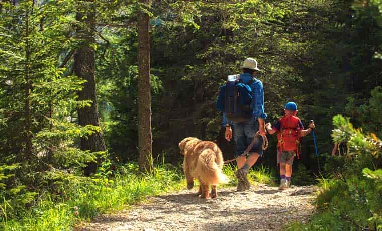 Hiking with a dog
