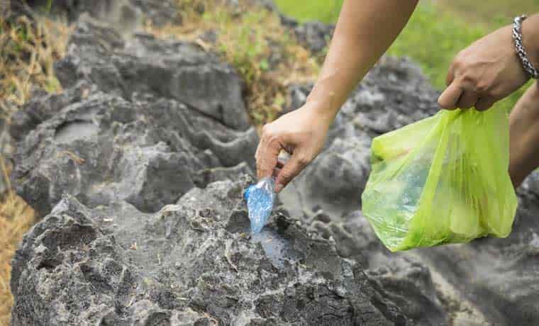 Picking up litter