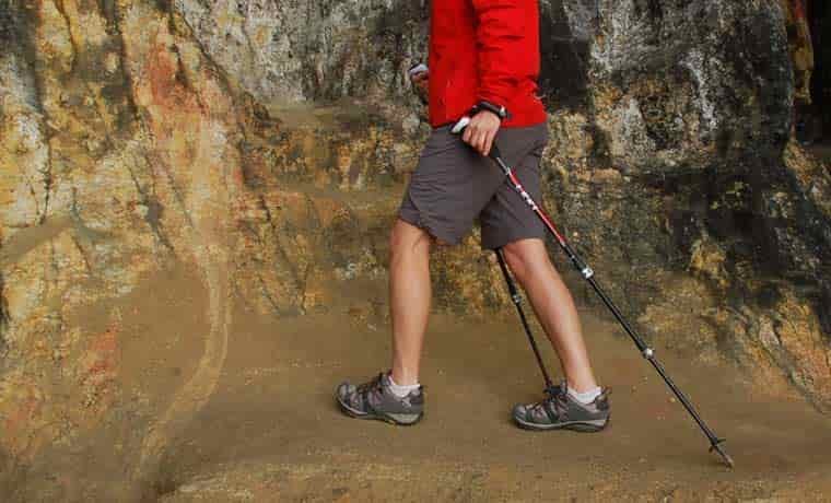 Walking with poles
