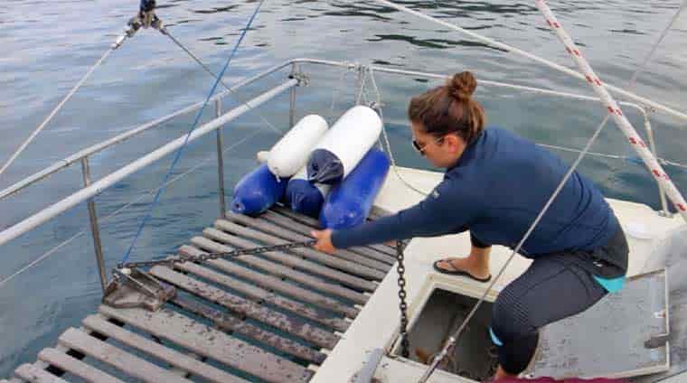 Elena pulling up anchor