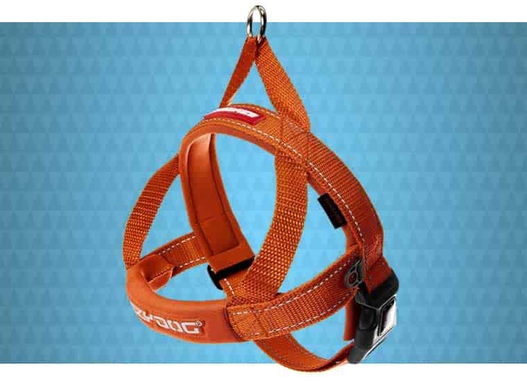 EzyDog Quick Fit