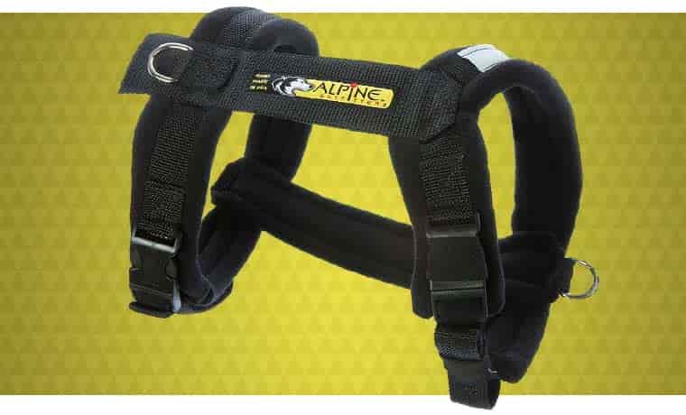 Urban Trail Adjustable Dog Harness