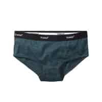 Howies pants