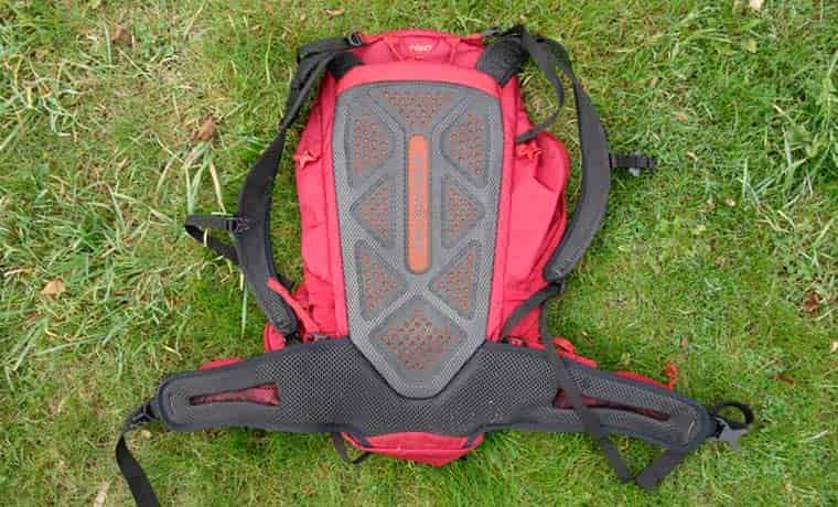Back panel of backpack
