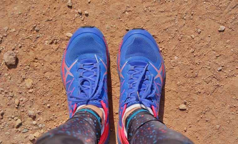 Scarpa trainers