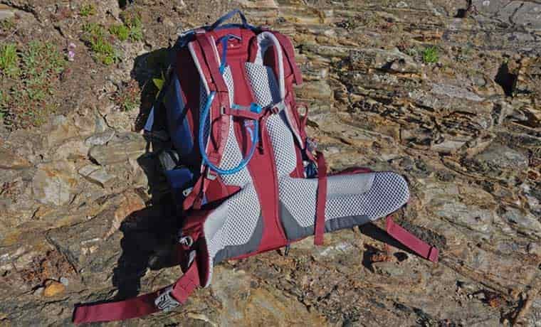 Bag back panel