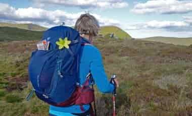 Deuter Trail Pro Daypack