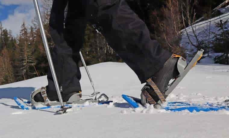Snowshoeing