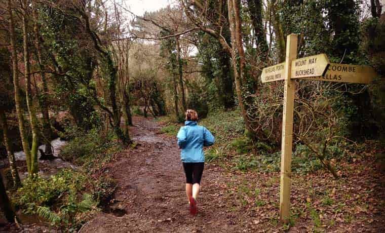 Woodland trail run