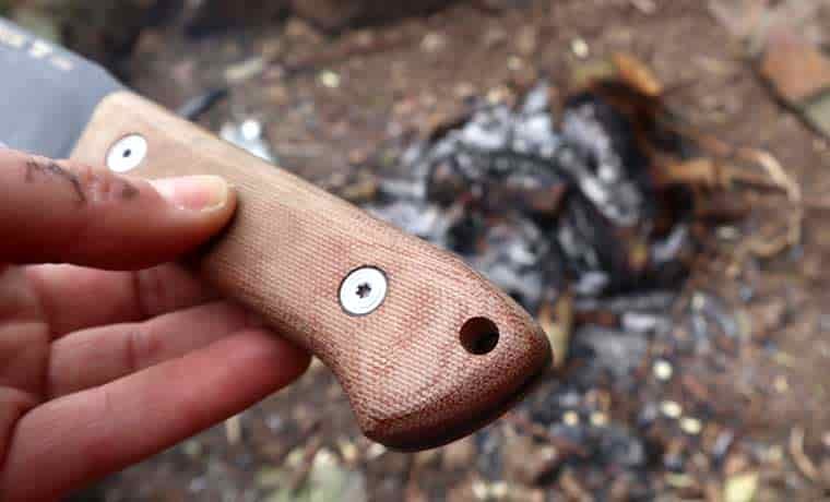Handle of knife
