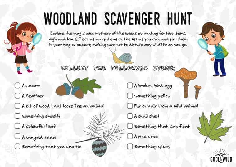 scavenger-hunts-woodland