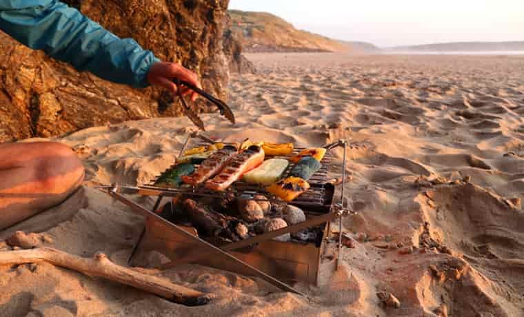 Food on the Wolf and Grizzly Fire Safe and Grill
