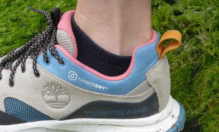 Shoe tabs