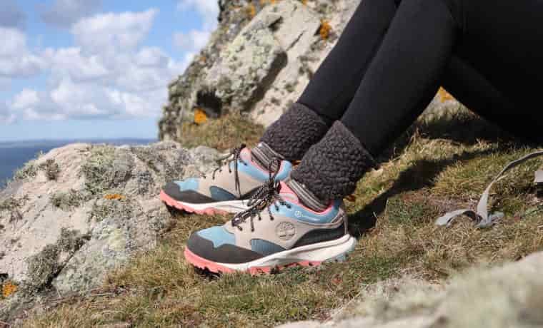 Trainers