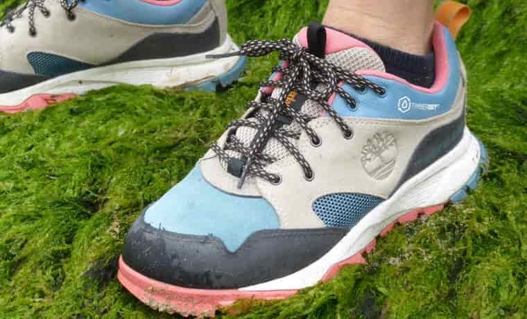 laces of shoes