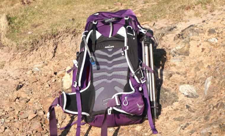 BAckpack back panel