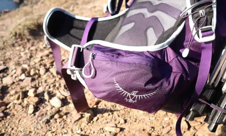 Backpack Hip belt pockets