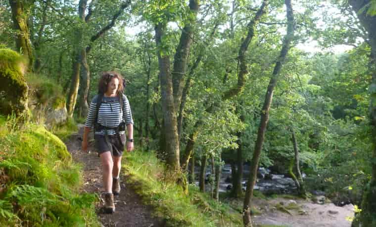 Woman hiking in the woods