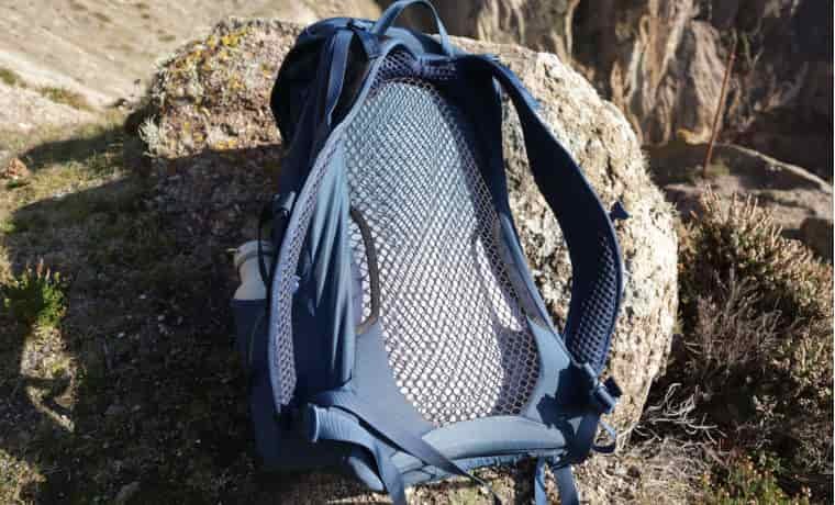 Backpack back panel