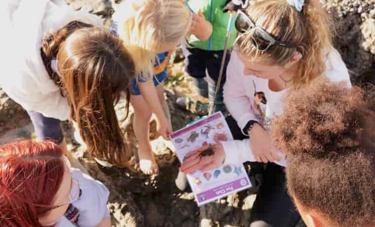 Children identifying crab