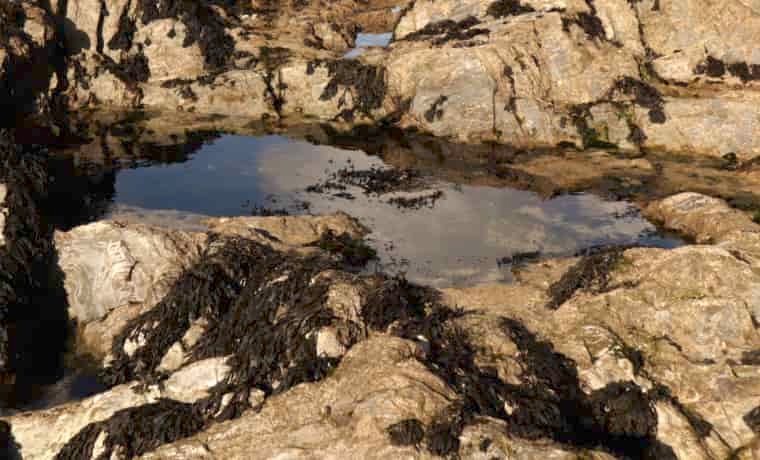 Rock pool