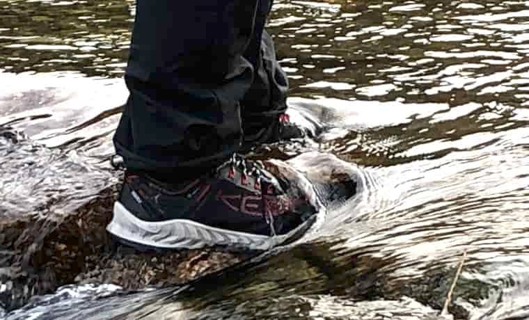 Standing in a stream