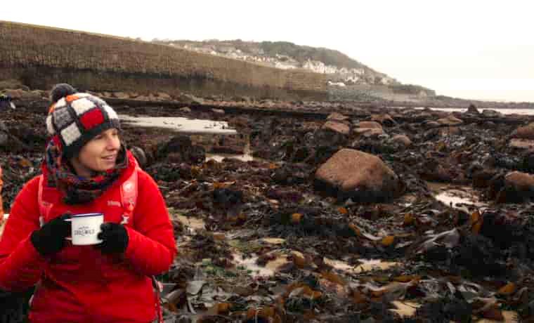 Seaweed foraging