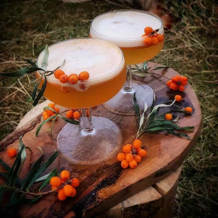 Sea buckthorn rum sour