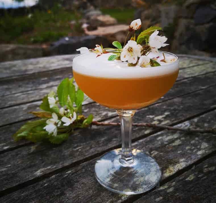 wild cherry bakewell