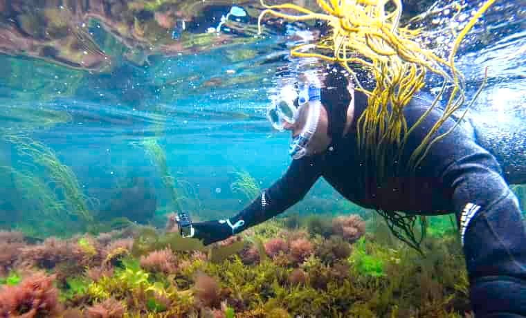 Man snorkelling in Cornwall