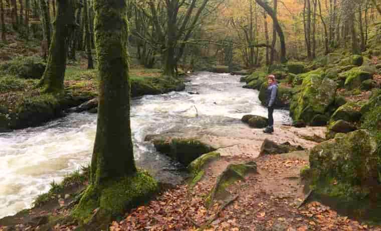 Golitha Falls walk