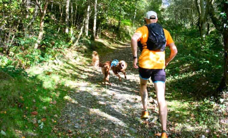 Man trail running with dog