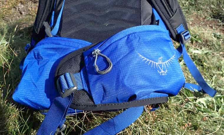 Backpack hip belt pockets